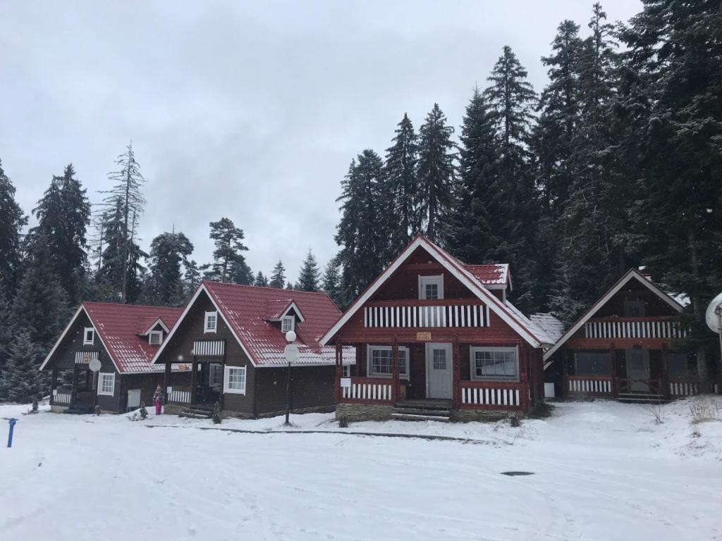 Chalet Sofia Borovets Exterior foto