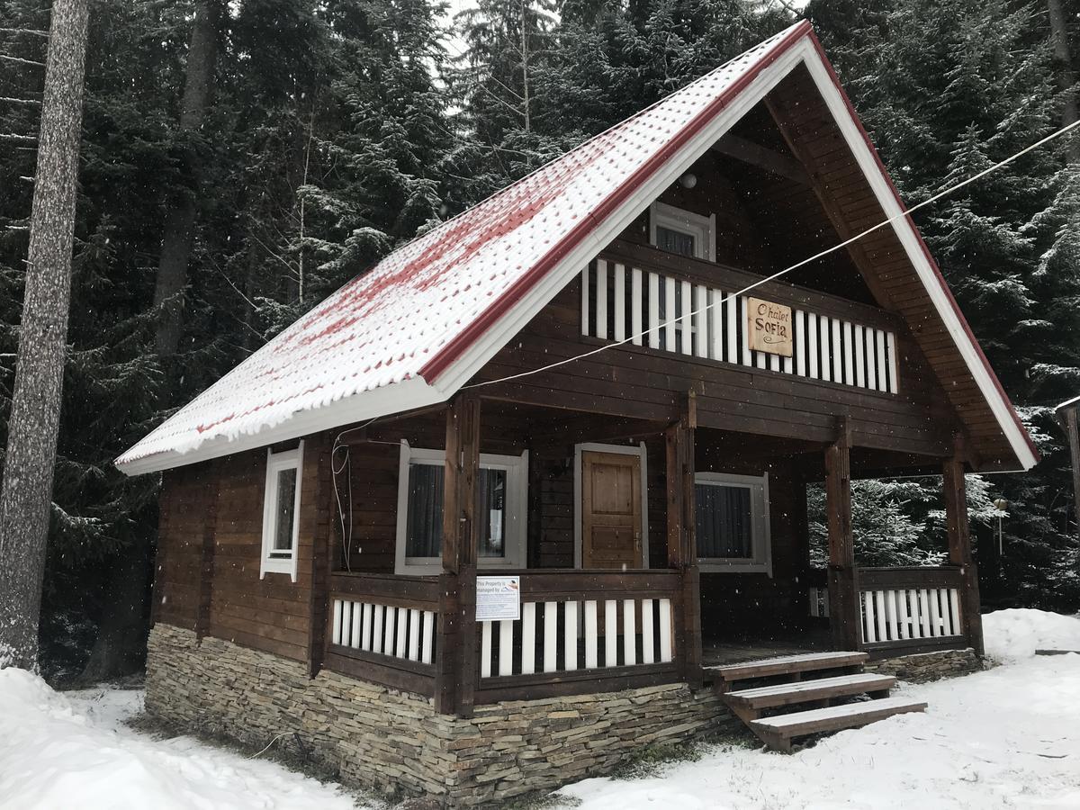 Chalet Sofia Borovets Exterior foto